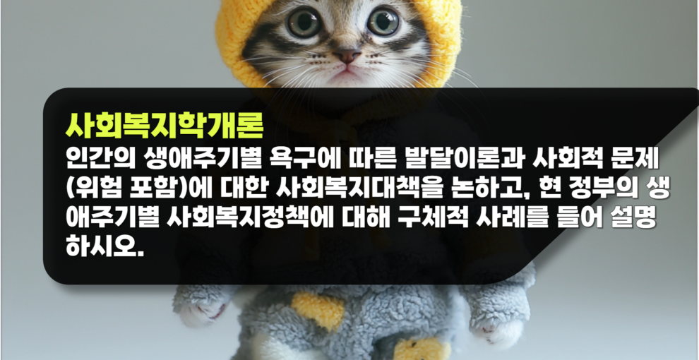사회복지학개론 과제 인간의 생애주기별 욕구에 따른 발달이론과 사회적 문제(위험 포함)에 대한 사회복지대책